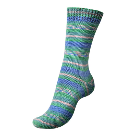 REGIA Garden City Color