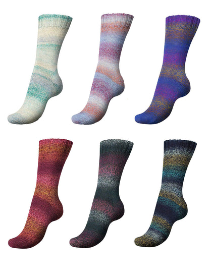 REGIA Colour Line Color